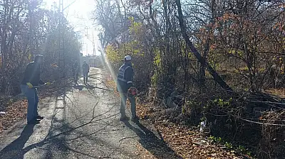 Van'da görüş açısını engelleyen ağaçlara budama yapıldı