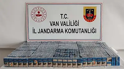 Van'da gümrük kaçakçılığı operasyonu
