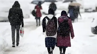 Van'da okullar tatil edildi