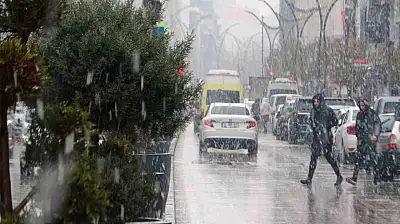 Van'da yağışlar çiftçilerin yüzünü güldürdü