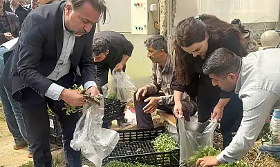Çatak'da 70 bin sebze fidesi dağıtıldı