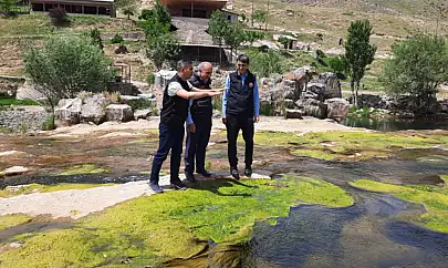 Dr. Turgay Şişman, inci kefali göçünü izledi