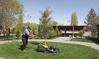 Gürpınar Belediyesi'nden ot biçme çalışması