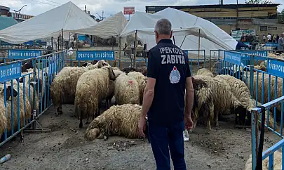 İpekyolu Belediyesi'nden Kurban Bayramı denetimi