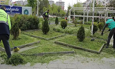 Öğretmen Okulu Parkı'nda çim biçme çalışması