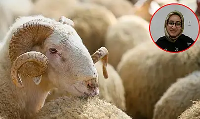 Sağlıklı et tüketimi konusunda önemli uyarı