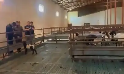 Şişman'dan yetiştiricilere ziyaret