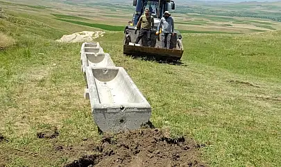 Tuşba 'da hayvancılığa destek çalışmaları