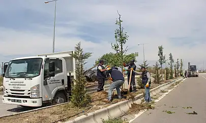 Van Büyükşehir'den sahil yolunda çalışma