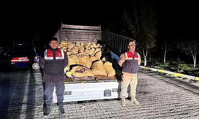Van'da 3 ton 820 kilo kaçak avlanmış balık ele geçirildi