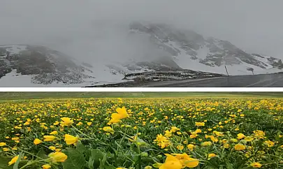 Van'da dağların zirvesinde kar, ovalarında çiçek
