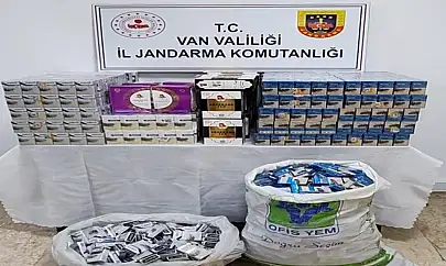 Van'da gümrük kaçakçılığı operasyonu