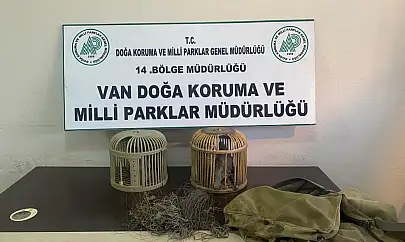 Van'da kaçak avcılığa darbe