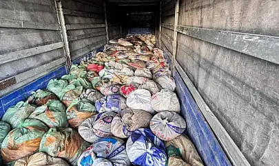 Van'da kaçak avlanmış balık ele geçirildi