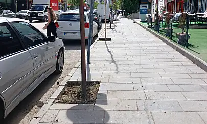 Van'da kaldırımlardaki ağaçların dipleri temizleniyor