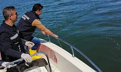 Van'da sazangiller için av yasağı başladı