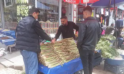 Van'da uşkuna yoğun ilgi