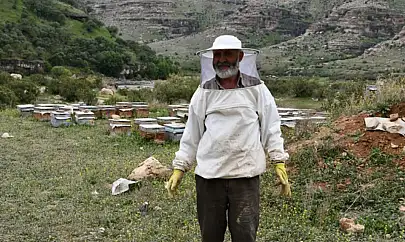 Vanlı arıcılar doğal bal için Şırnak'ta