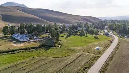 Çaldıran İcra Dairesi'nden satılık tarla