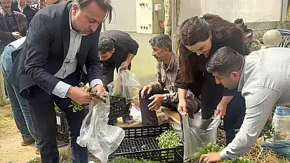 Çatak'da 70 bin sebze fidesi dağıtıldı
