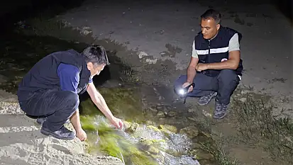 İnci kefali üreme alanlarına gece denetimi
