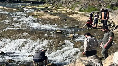 İnci kefalinin göçü yerli ve yabancı turistlerin ilgi odağı oldu