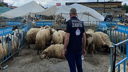 İpekyolu Belediyesi'nden Kurban Bayramı denetimi
