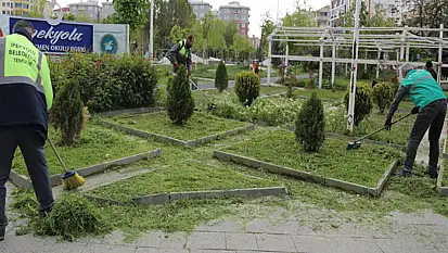 Öğretmen Okulu Parkı'nda çim biçme çalışması
