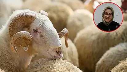 Sağlıklı et tüketimi konusunda önemli uyarı