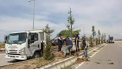 Van Büyükşehir'den sahil yolunda çalışma