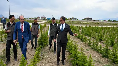 Van'da 3 milyon fidan projesiyle yeşil alanlar artıyor
