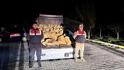 Van'da 3 ton 820 kilo kaçak avlanmış balık ele geçirildi