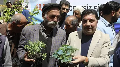 Van'da 45 bin sebze fidesi dağıtıldı