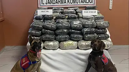 Van'da 90 kilo uyuşturucu ele geçirildi