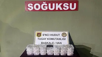 Van'da ele geçirildi