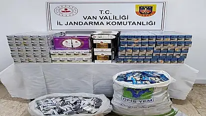 Van'da gümrük kaçakçılığı operasyonu