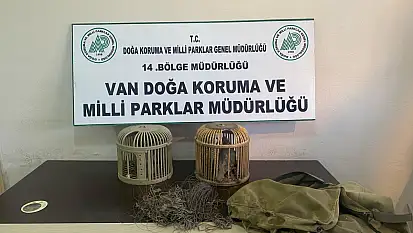 Van'da kaçak avcılığa darbe
