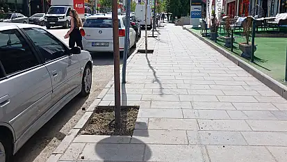 Van'da kaldırımlardaki ağaçların dipleri temizleniyor