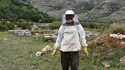 Vanlı arıcılar doğal bal için Şırnak'ta