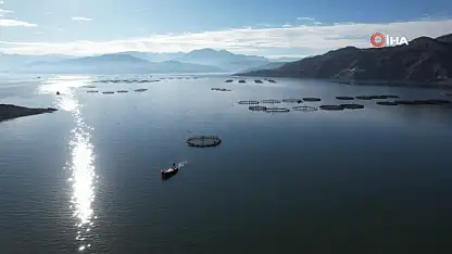 Denizi olmayan Tokat'ın somonları dünya sofralarına ulaşıyor