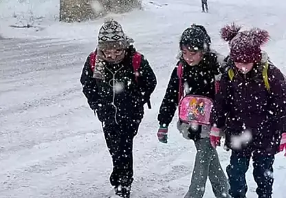 Çaldıran'da eğitime kar engeli