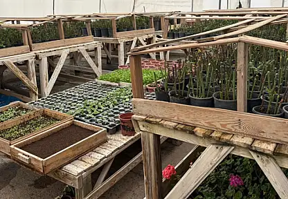 Van'da bahar hazırlıkları tamam: Parklar çiçek açacak