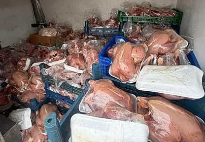 Van'da sağlık ve sevk belgeleri bulunmayan 200 tavuk ele geçirildi