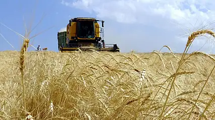 Tarım-ÜFE yıllık yüzde 43,58 arttı