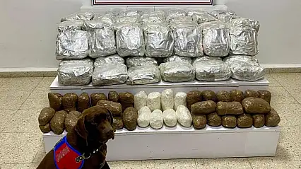 Van'da skunk ve metamfetamin operasyonu