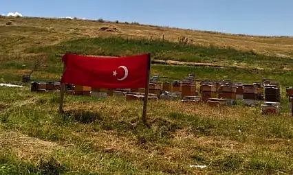 Ağrı ay yıldızlı bayraklarla donatıldı