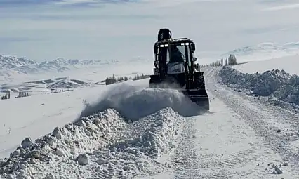 Başkale'de kar hayatı felç etti