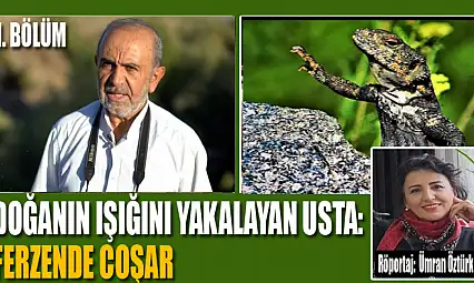Doğanın Işığını Yakalayan Usta: Ferzende Coşar