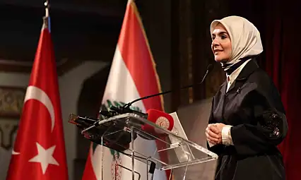 Göktaş: Lübnan'ı önemli bir ortak olarak görüyoruz