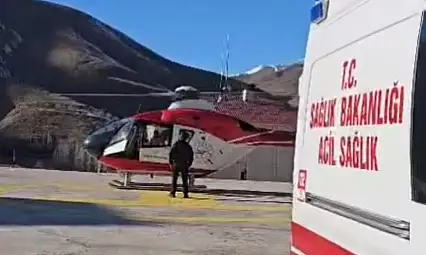 Hamile kadın ambulans helikopterle Van'a getirildi